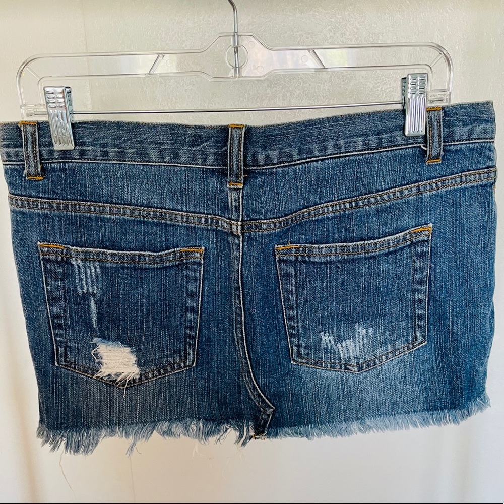 Mini Skirt